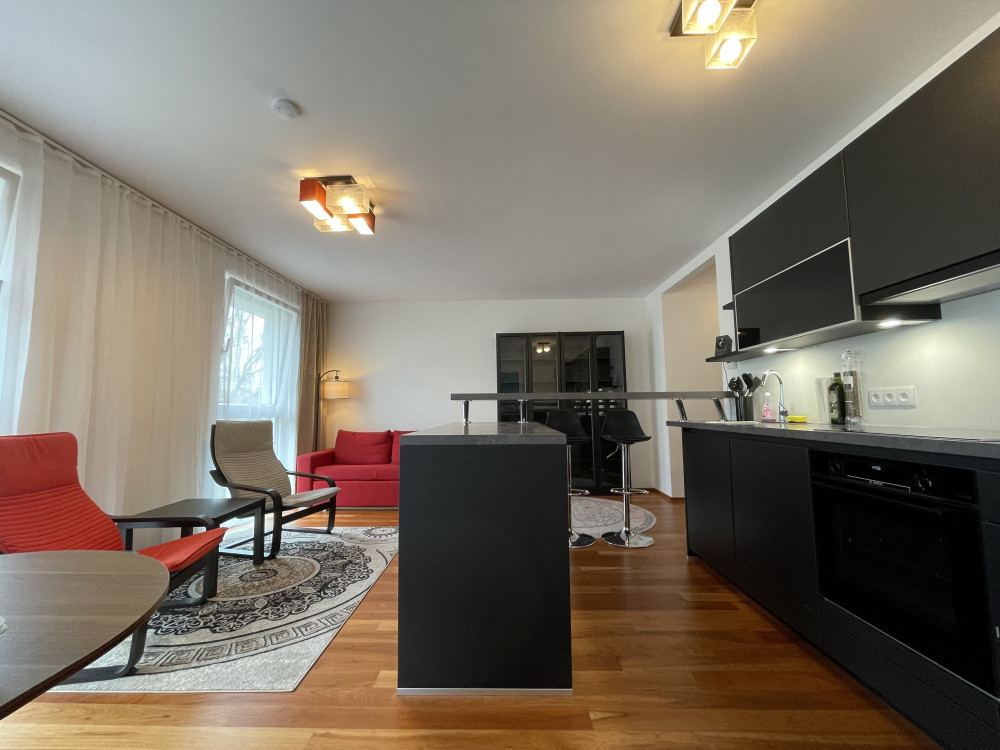 New central flat on the Danube in Vienna preview