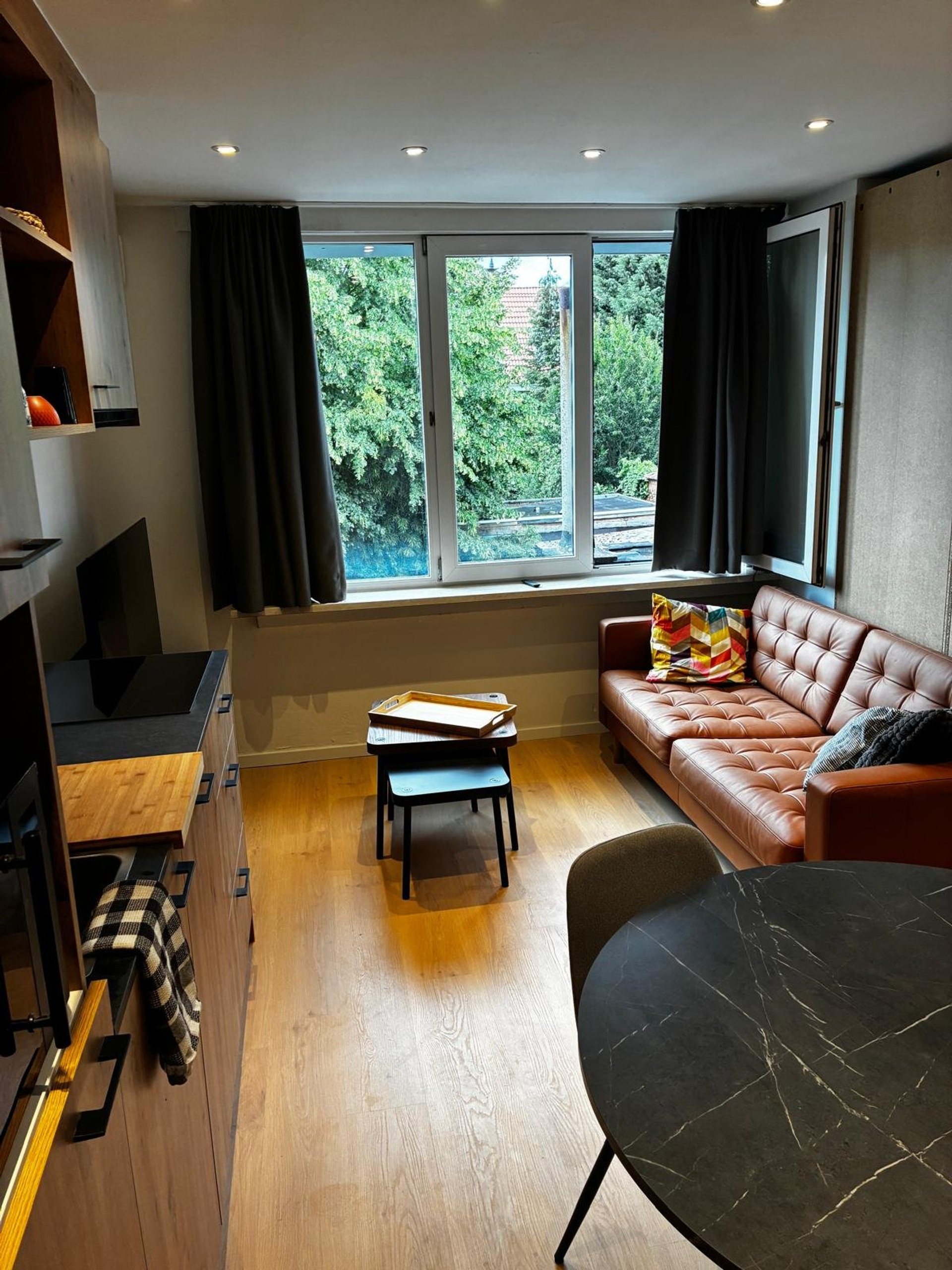 Bright living room leather sofa