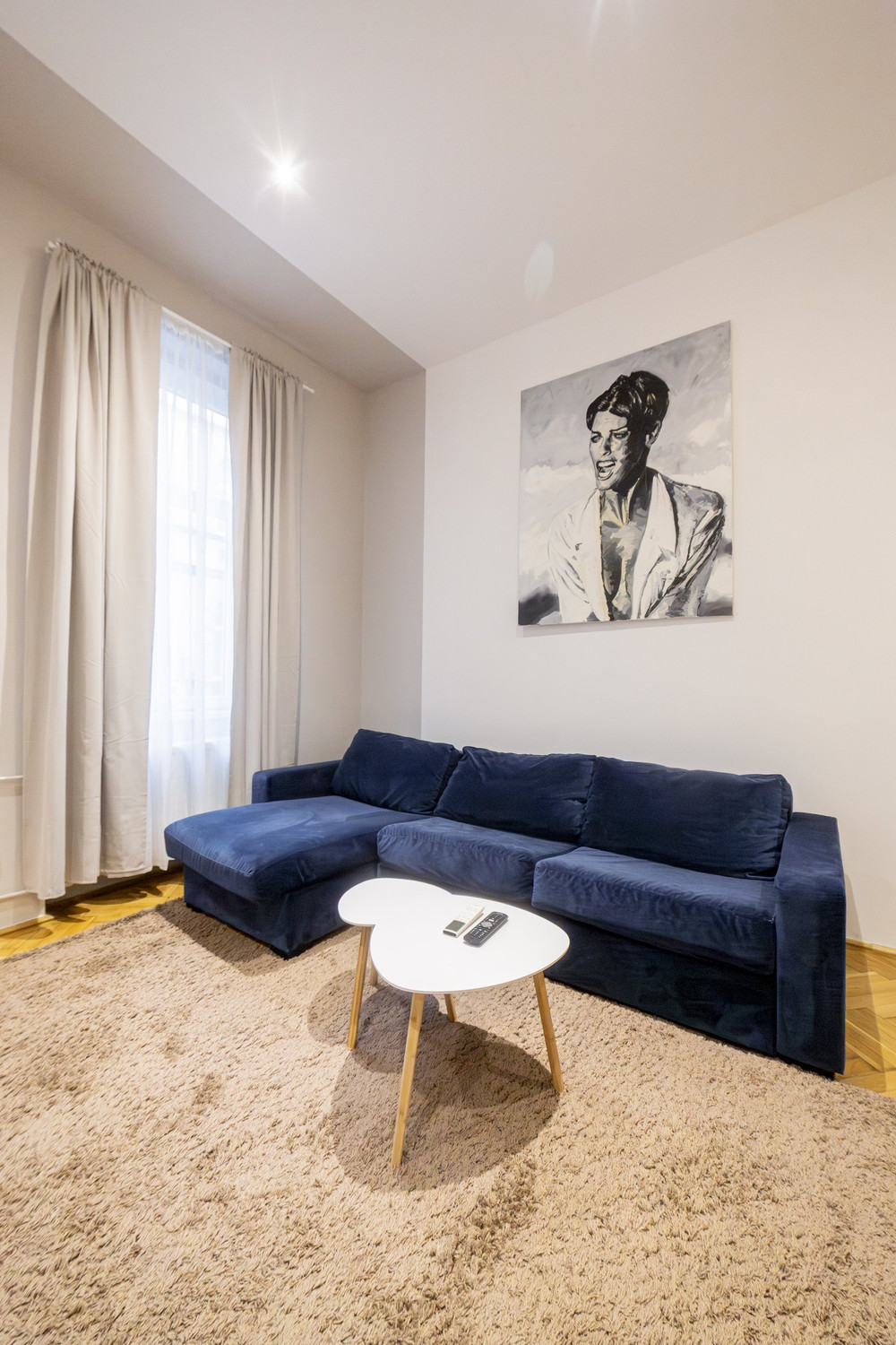 Modern, Spacious 1-Bedroom Apartment in the Heart preview