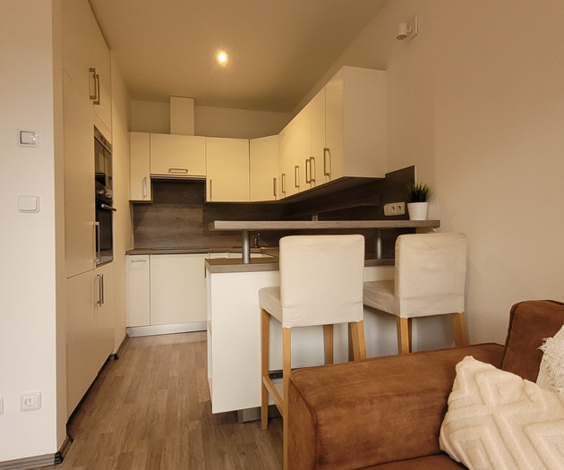Apartment Centrum + Parking