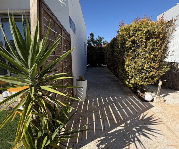 Exterior garden pathway with plants