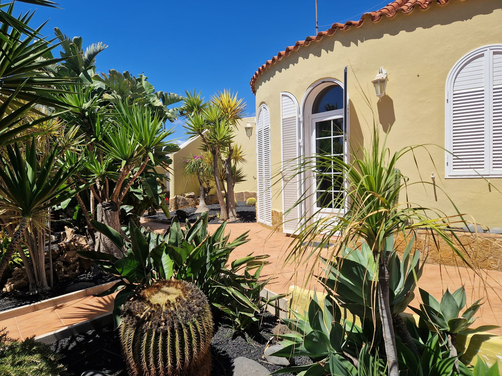 Villa exterior with tropical garden