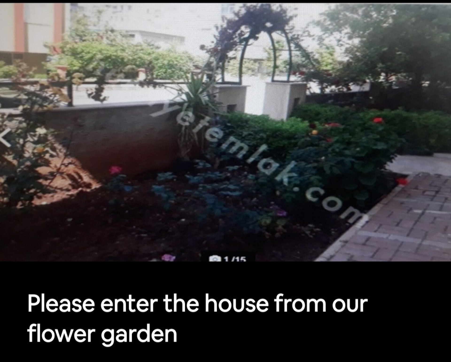 Please enter the house from our flower garden
