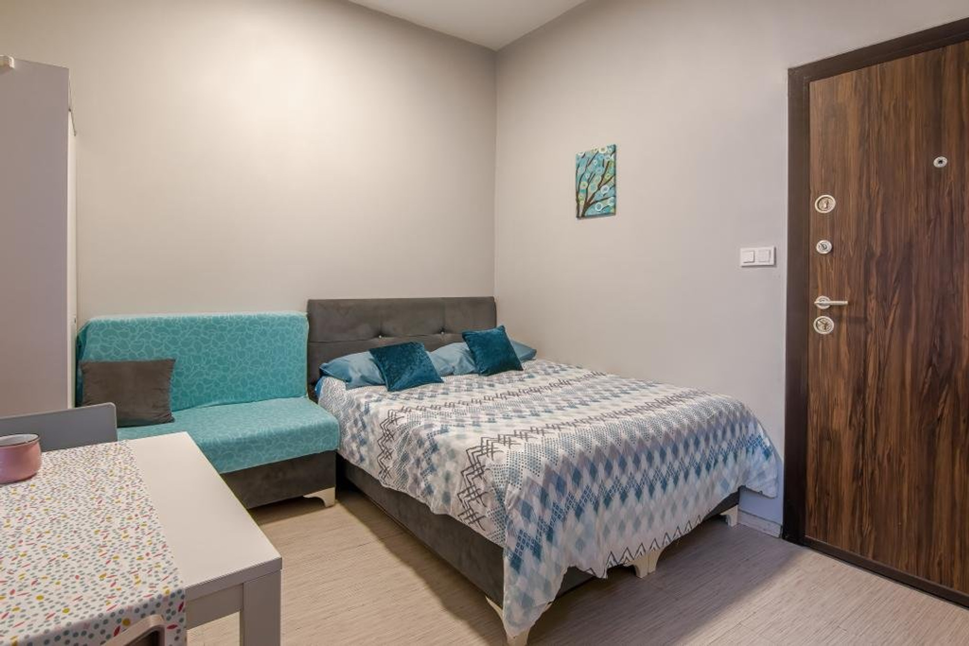 Studio bed, sofa, and entrance door