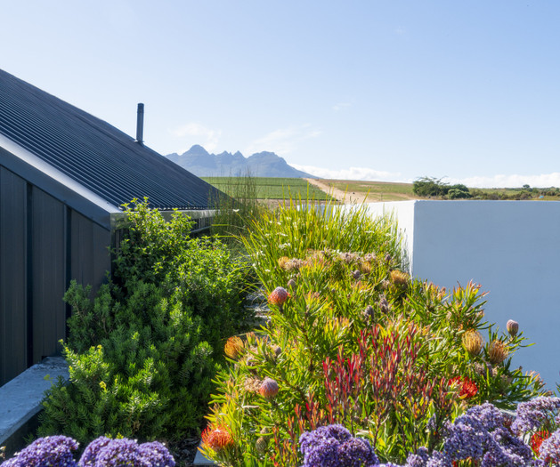 Luxury Farm living in the Cape Winelands