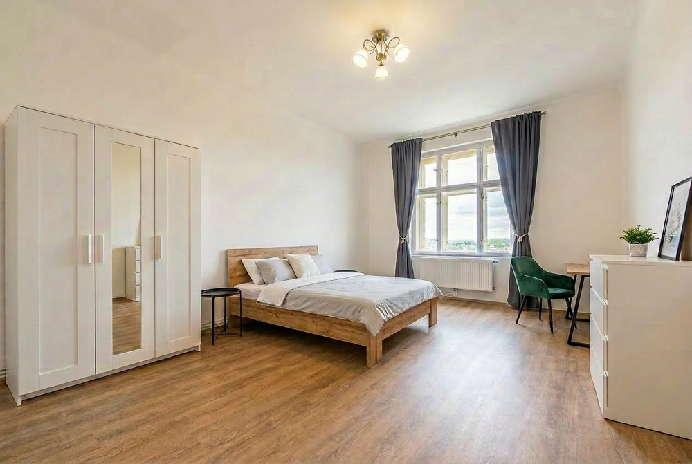 Premium room with a view in Vinohrady - Prague 2 preview