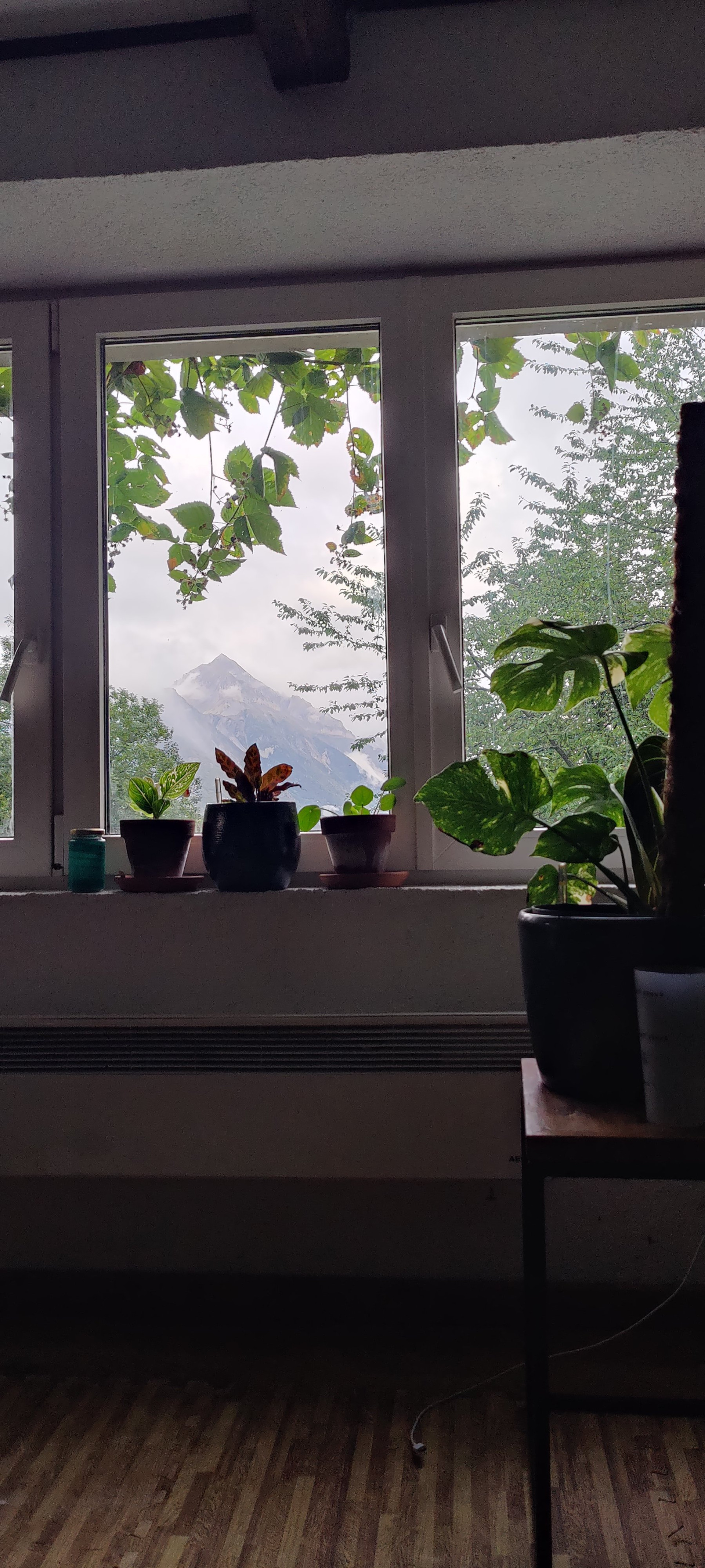 view from the living room