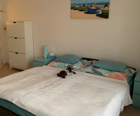 Sunny apartment for 4 person nearby city center