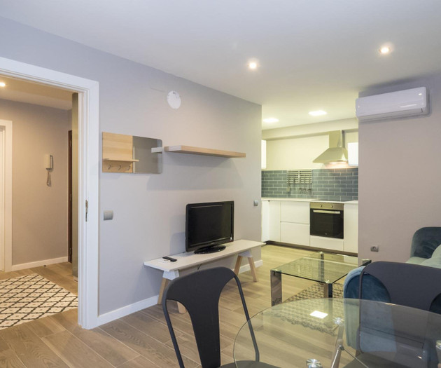 Apartamento de 1hab con espectacular terraza