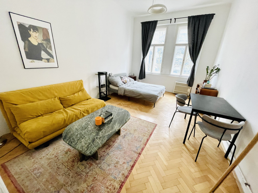 Renovated apartment in a quiet part of Karlin