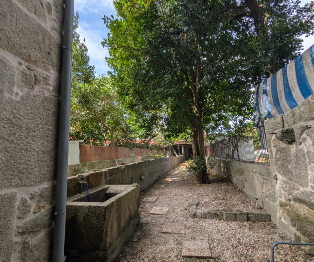 Garden path with trees
