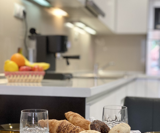 Entire Apartment for 4 Guests in Sofia, Banishora