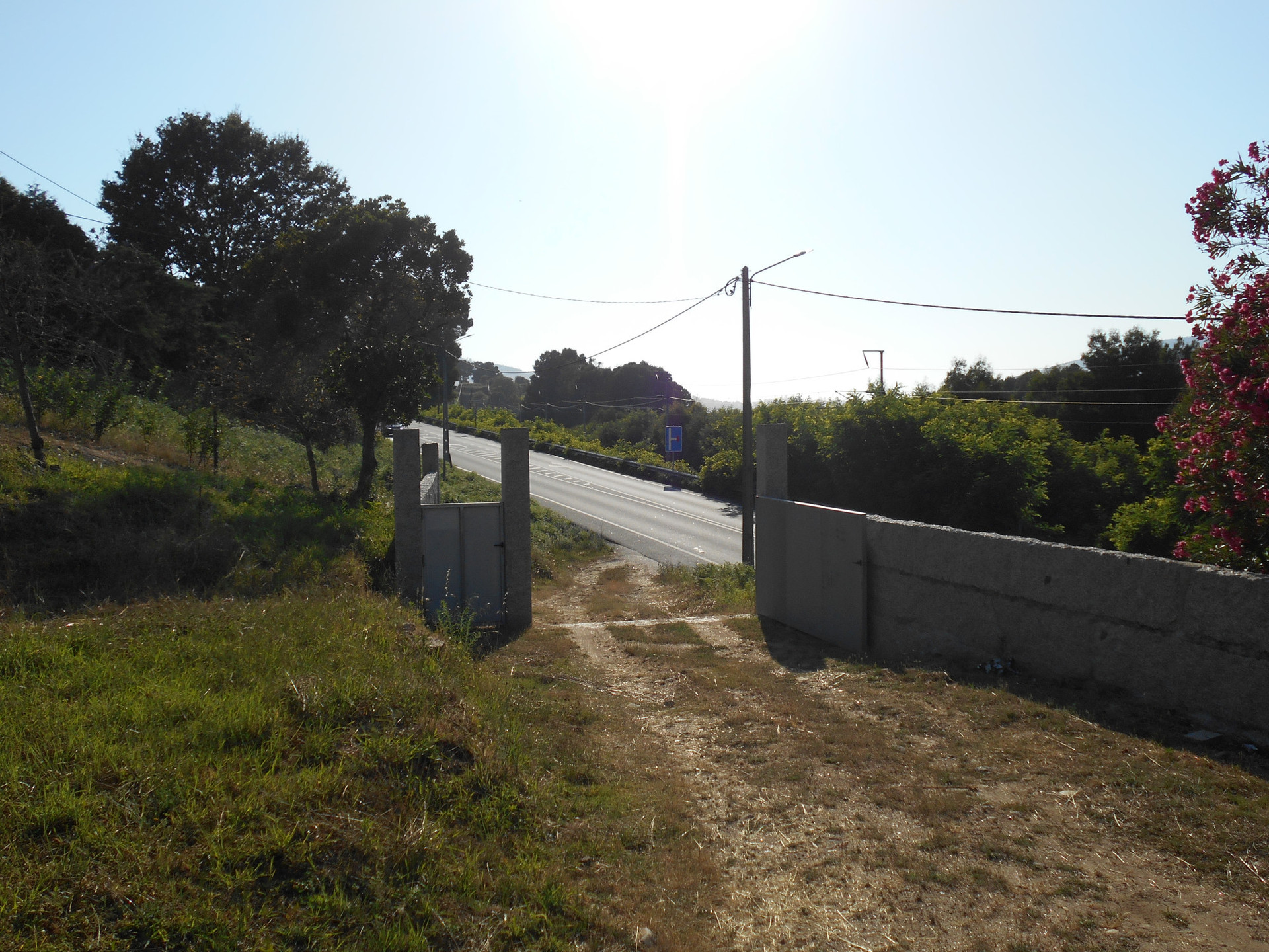 ENTRADA 