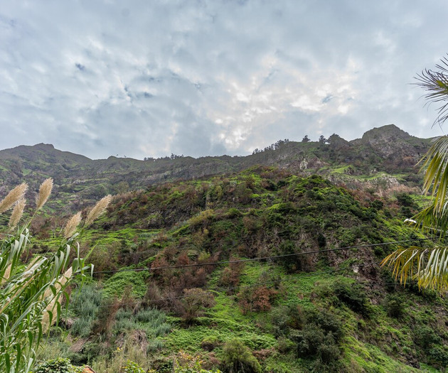Madeira Inn Paradise by Madeira Real