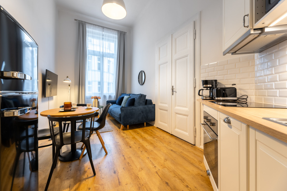 Cozy 1-BR apartment in the city center of Prague preview