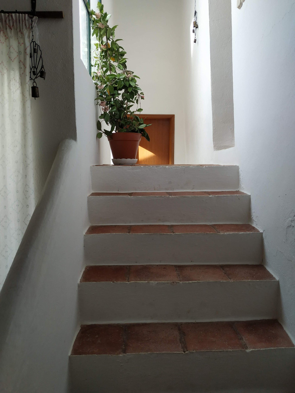 Image #9
