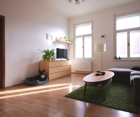 Room in spacious apartment in Letná