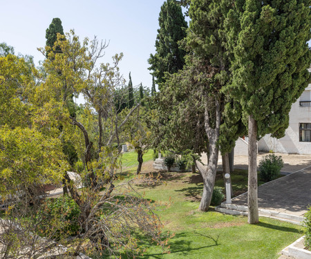 Tavira - Pedras d'el Rei