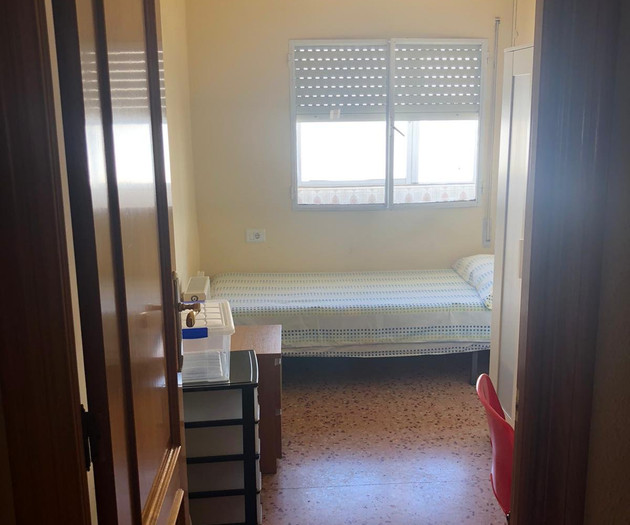 The Big Erasmus Apartment