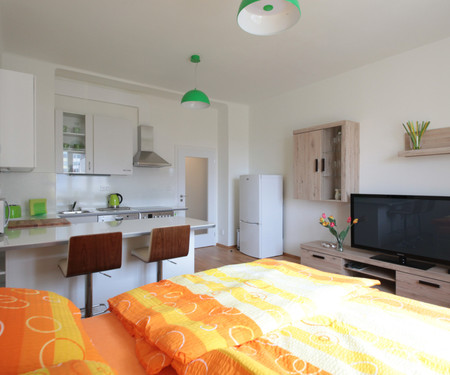 One-bedroom apartment, Fitness, terrace, Prague 10