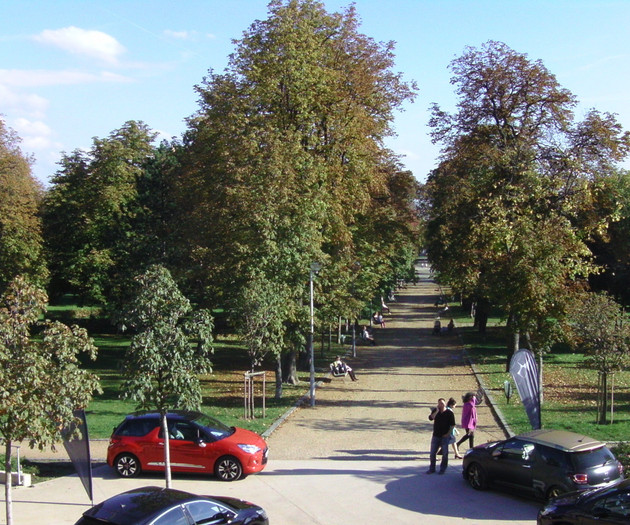 Park view from window