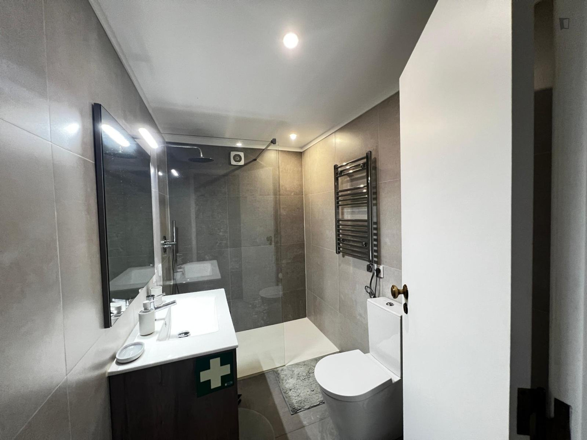Modern bathroom with walk-in shower