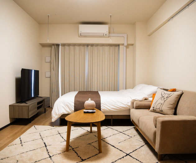 Living area with TV sofa