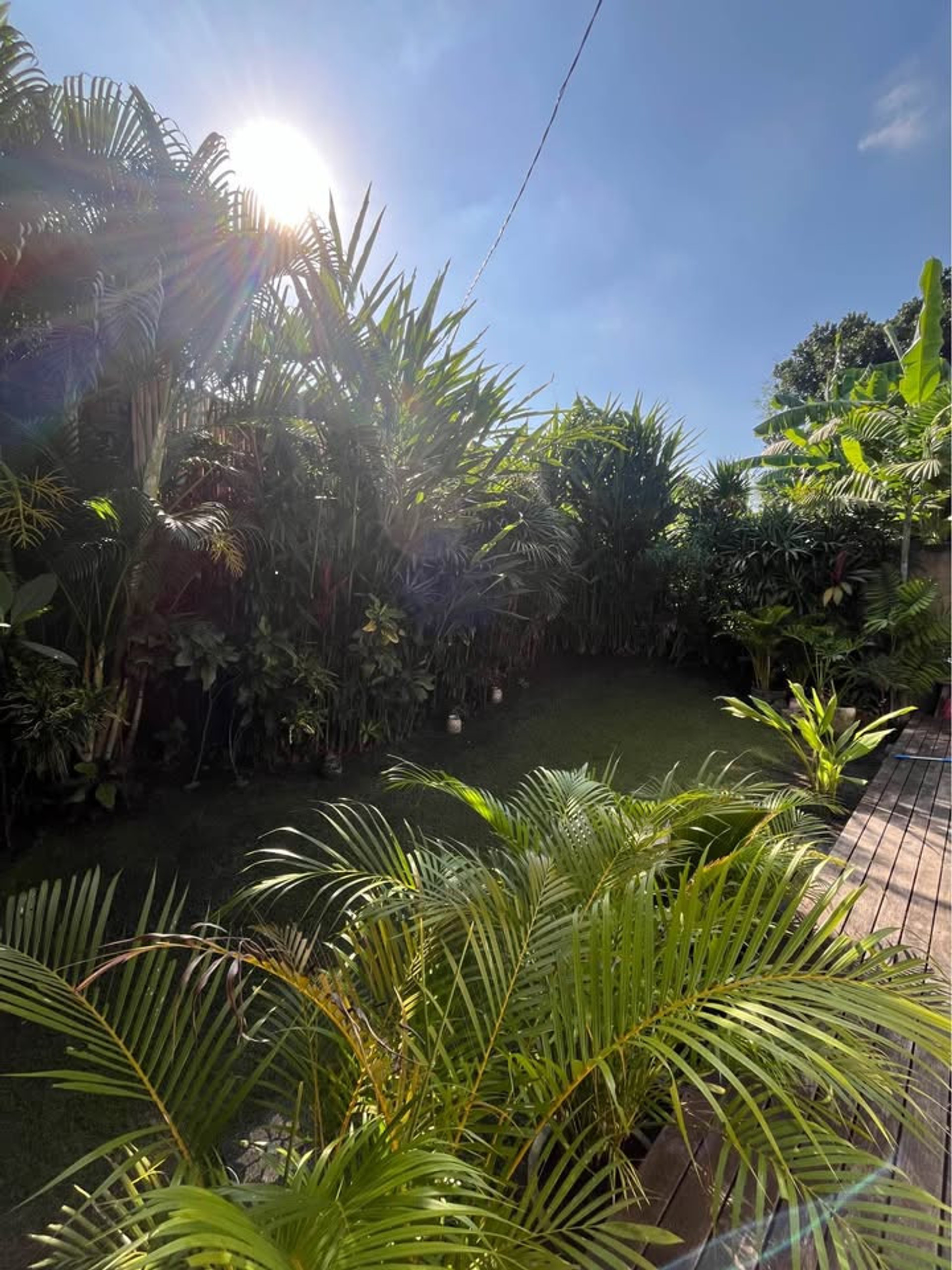 Garden view