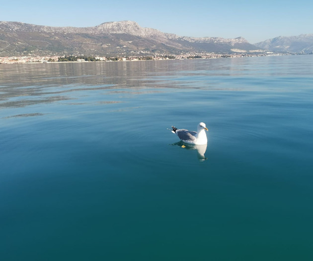 Apartmen in Kastela - close to the beach