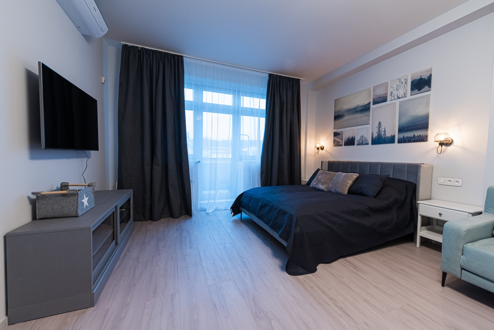 Newly renovated apartment Ceskomoravska
