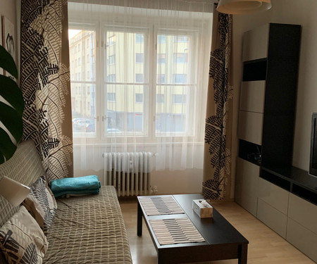 Sunny apartment for 4 person nearby city center