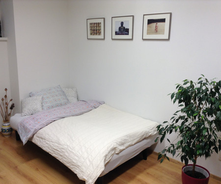 Apartment 2 rooms 15 min to centre