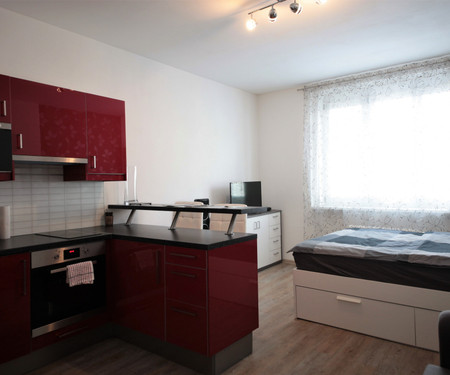 Flat for rent  - Prague 3 - Zizkov