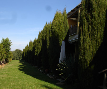 A country house near the beach