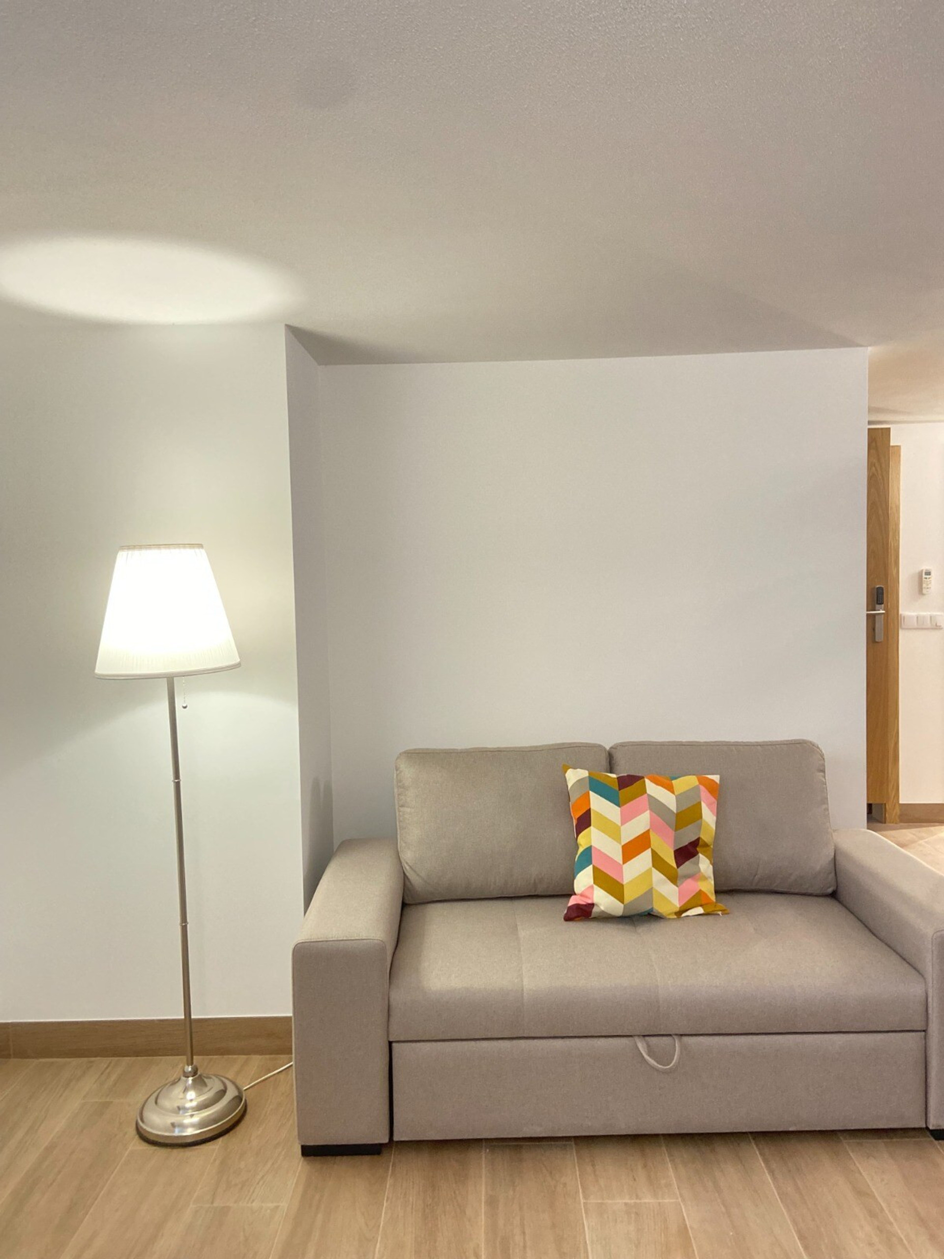 Living room with sofa-bed.