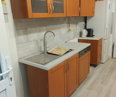 Freshly renovated furnished 1.5-room