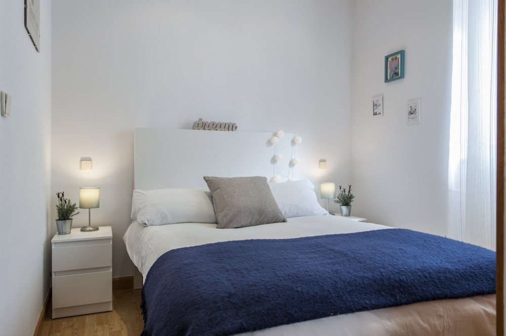 Fantastic apartment close to Feria de Madrid