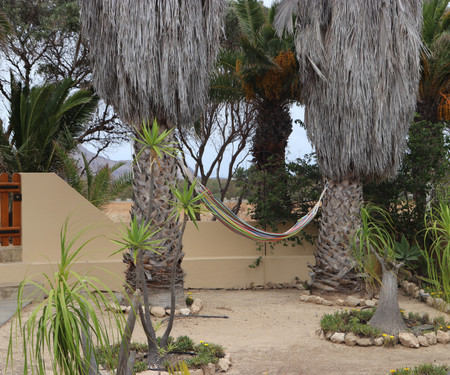 steps from the golden sand beach of Porto Santo