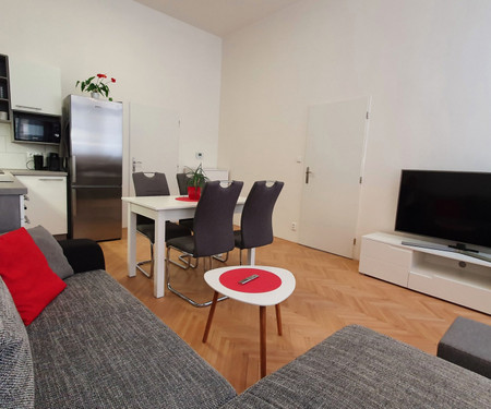 Modern 2 bedroom apartment in the city center