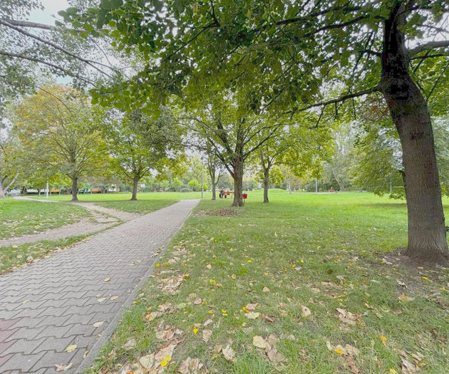 Park path with trees