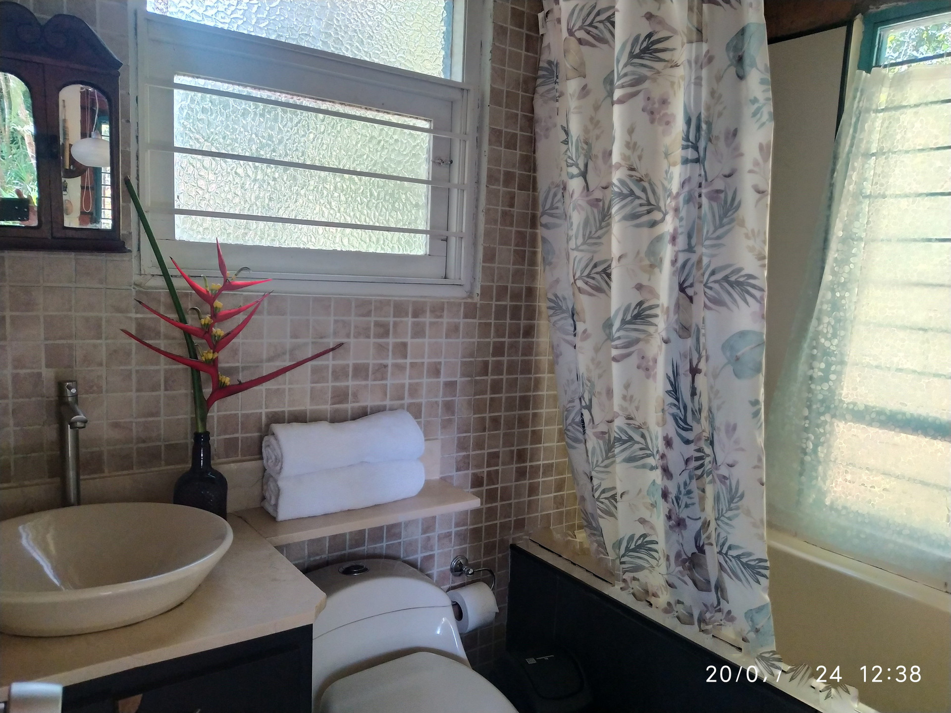Bathroom with shower curtain