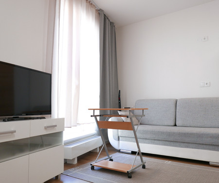 Apartment Brno centrum with private parking