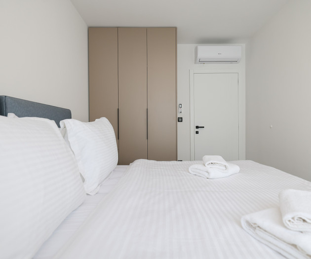 Deluxe apartment VI