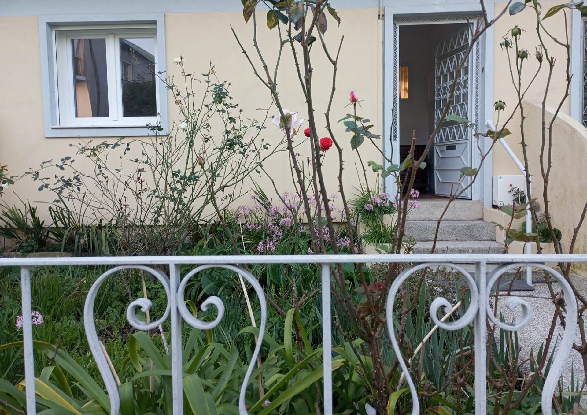 Front of the house with small garden