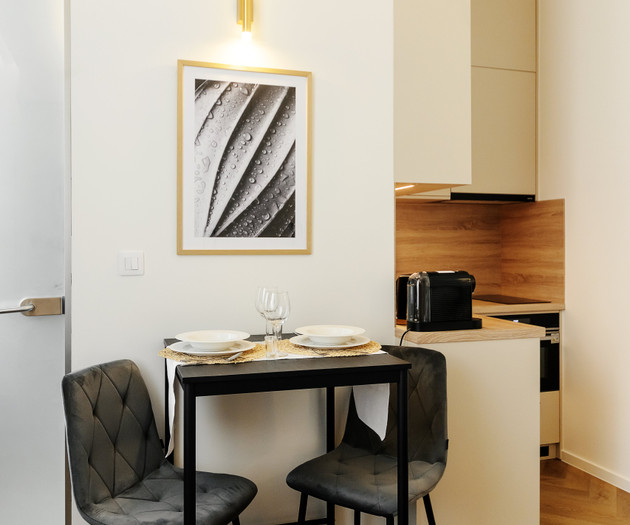 Luxury City Center Apartment 1+kk