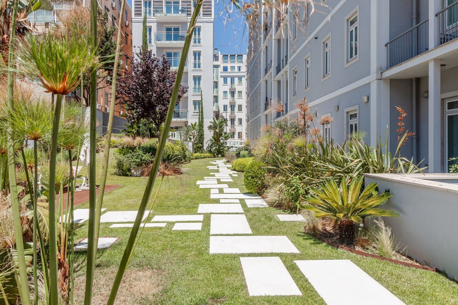 Garden pathway 