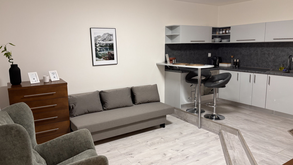 Elegant Escape apartment IV - free parking preview