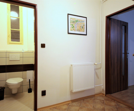 Newly renovated apartment 1+1 in Letná district