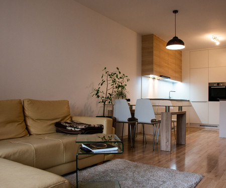 Sunny flat with terrace and parking, Brno-Slatina