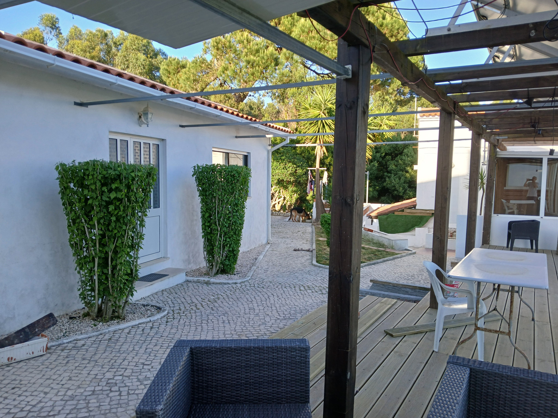 Outdoor patio with dog and seating